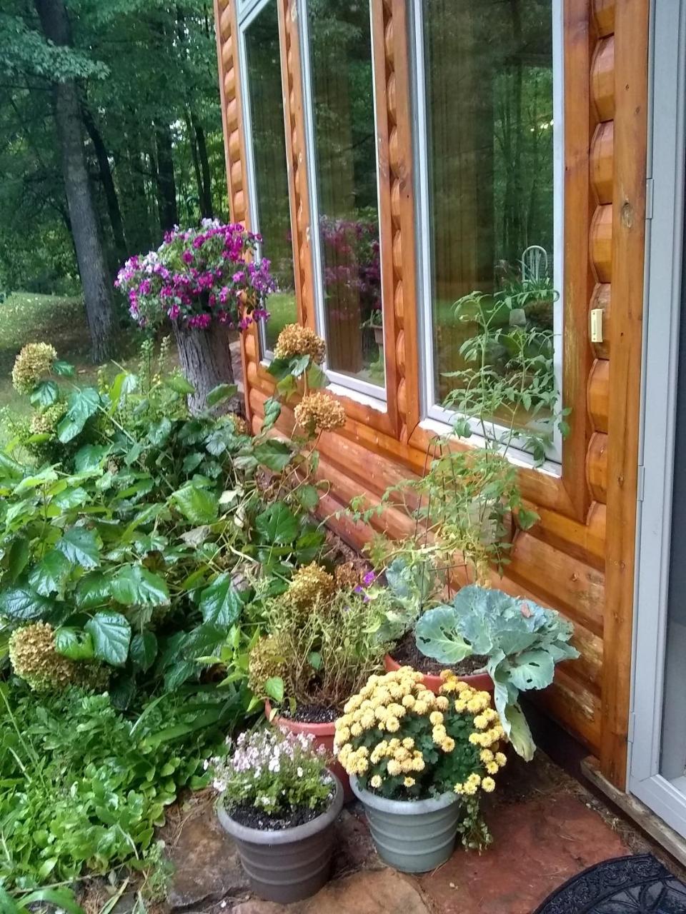 Bed And Breakfast Suite At The Wooded Retreat Pine City 外观 照片
