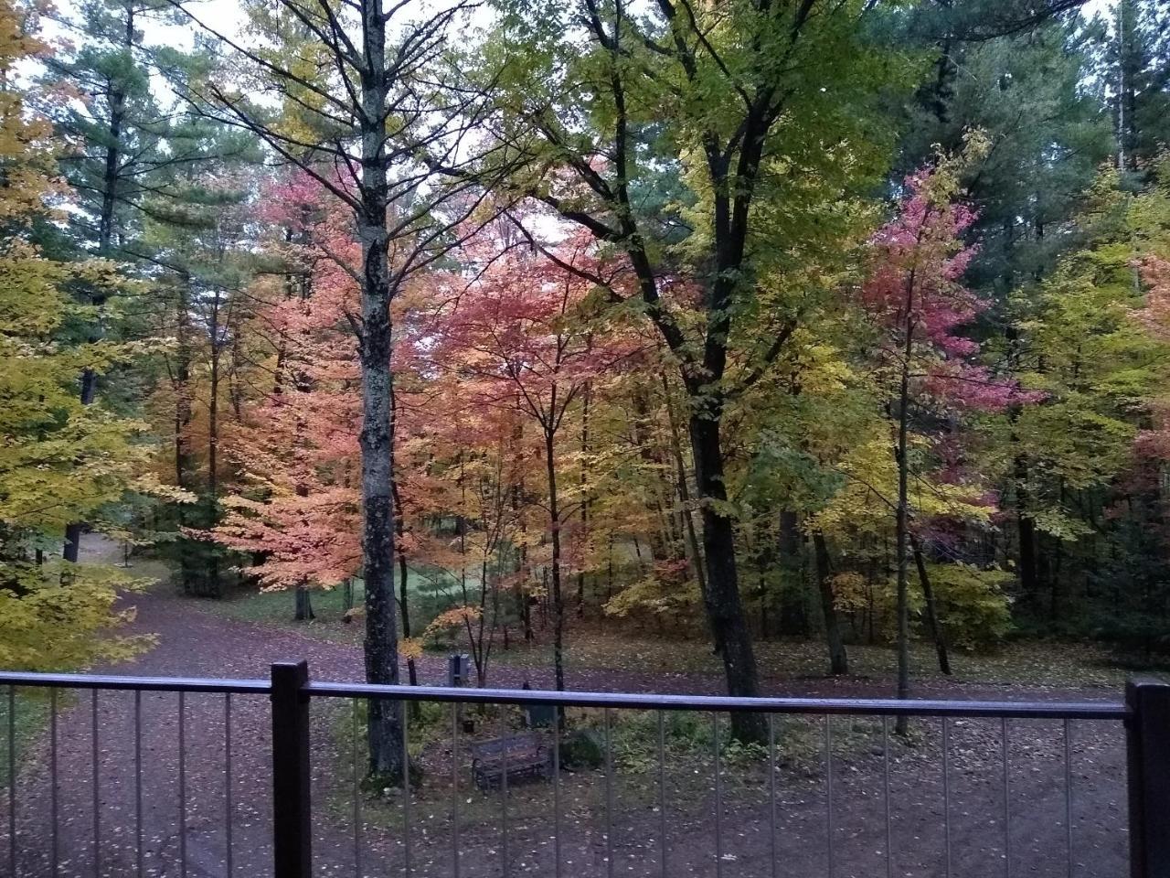 Bed And Breakfast Suite At The Wooded Retreat Pine City 外观 照片